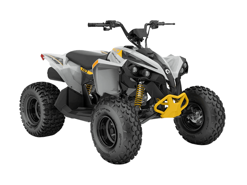 renegade-110-efi-2023 RENEGADE 110 EFI